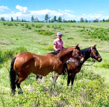 Md_IMG-2378.jpg(Md:350x340)